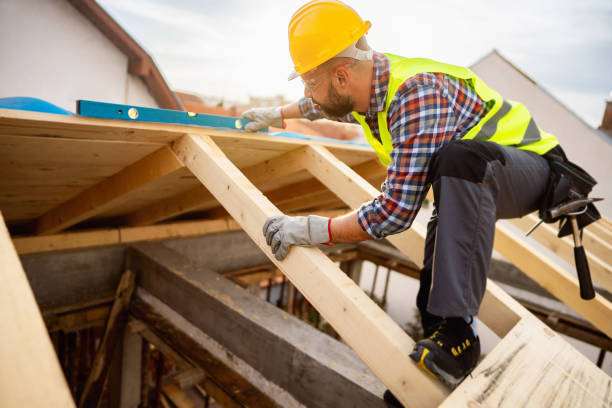 Roof Gutter Cleaning in Cave City, AR