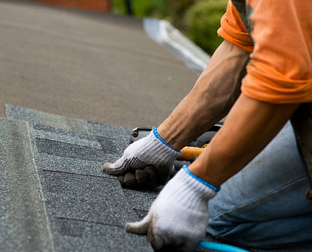 Best Storm Damage Roof Repair  in Cave City, AR